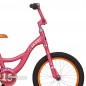 Raleigh Jazzi 16" Bicicleta Infantil