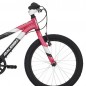 Raleigh Lily 20" / Bicicleta Infantil