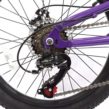 Bicicleta infantil 20" Belda Sweetheart Purple T20B110