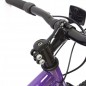 Bicicleta infantil 20" Belda Sweetheart Purple