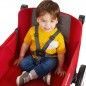 Carro Radio Flyer - Convertible Stroller Wagon