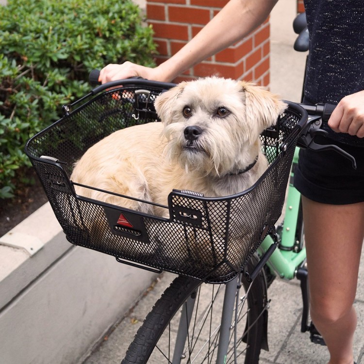 vidaXL Cesta Trasera de Bicicleta con Tapa Canasta Vintage y Rústico de Transporte de Mascotas con Cable de Protección Sauce Natural