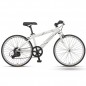 Fuji Ace 20" / Bicicleta infantil ruta / 7 vel.