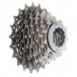 Piñon 10 vel. Shimano Dura Ace 7900 11-25D Ruta