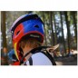 Casco MTB Enduro Bluegrass Explicit