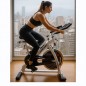Bicicleta Estática Belda Mod. Home-830 Spinning