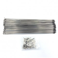 Set Rayos 295mm. Wheelsmith Inox
