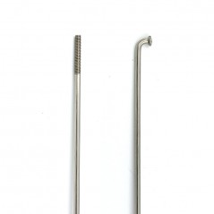 Set Rayos 295mm. Wheelsmith Inox
