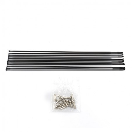 Set Rayos 261mm. Mavic XRIDE Disc