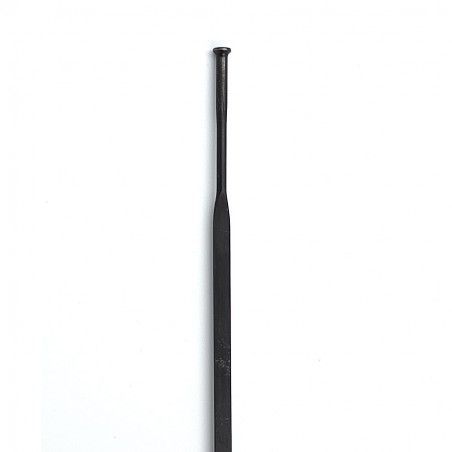 Rayo 284mm. Mavic Ksyrium 32418601