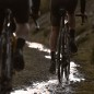 Neumático 700 x 40c Gravel Continental Terra Trail