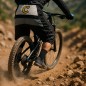 Shorts Cannondale DH