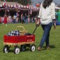 Carro Clásico Radio Flyer Town & Country