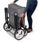 Carro Radio Flyer | Odyssey Stroller Wagon