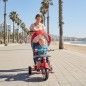 Triciclo Radio Flyer | 4-IN-1 Stroll N Tryke