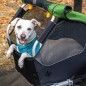 Trailer Burley Pet TAIL WAGON Mascota