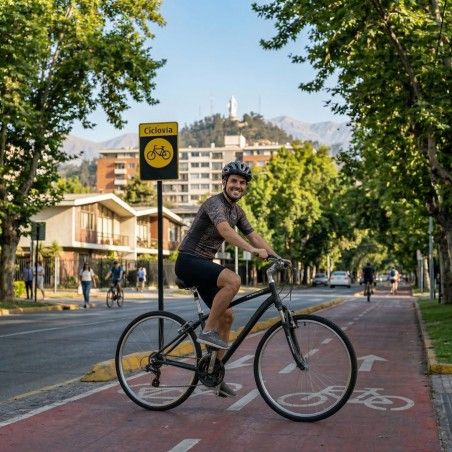 Bicicleta Urbana 700c Vermont