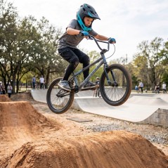 Bicicleta Freestyle 20" SE Bikes Wildman Deep Gris