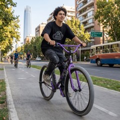 Bicicleta BMX Urbana 29" SE Bikes Big Flyer