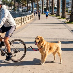 Brazo Guia para Perros Sunlite Pet