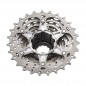 Piñon 10vel. Shimano Dura Ace 7900 / 11-21D Ruta