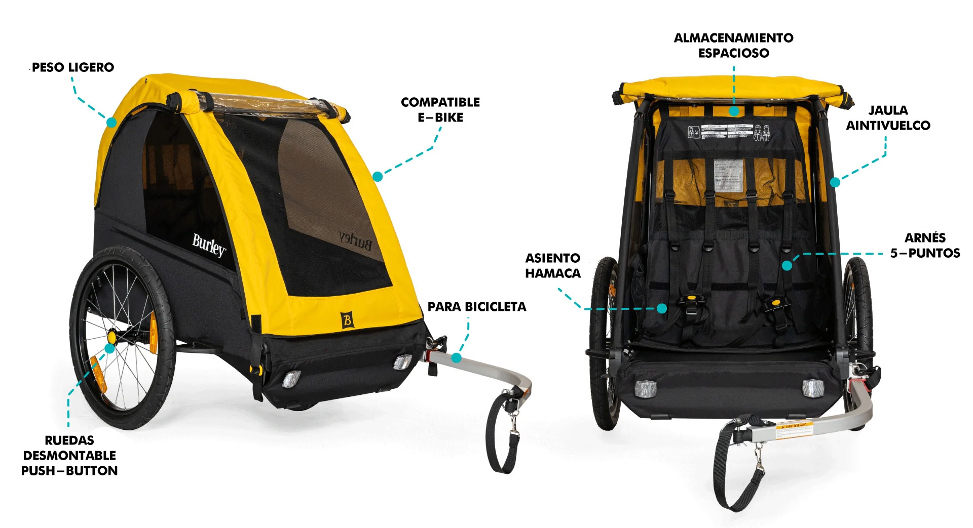 BIC11025002X1.jpg
