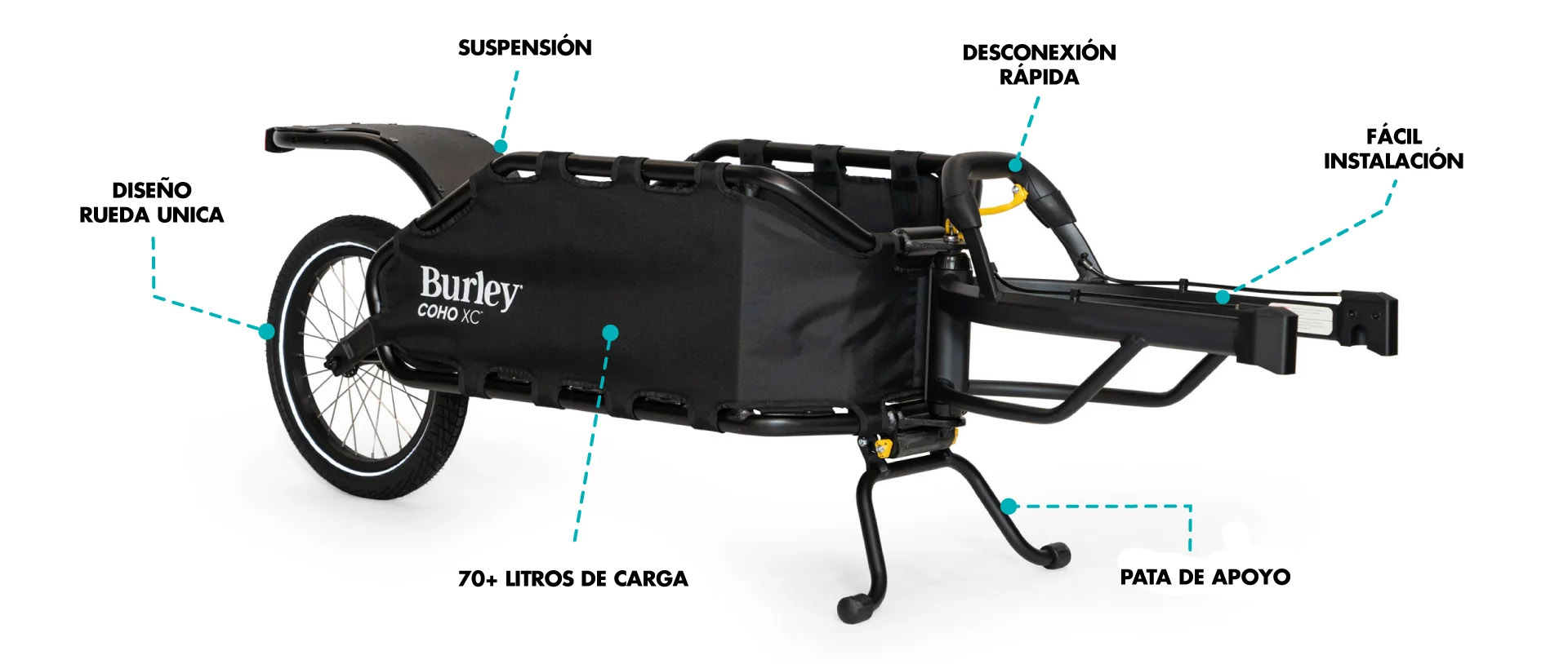 BIC11025002X1.jpg
