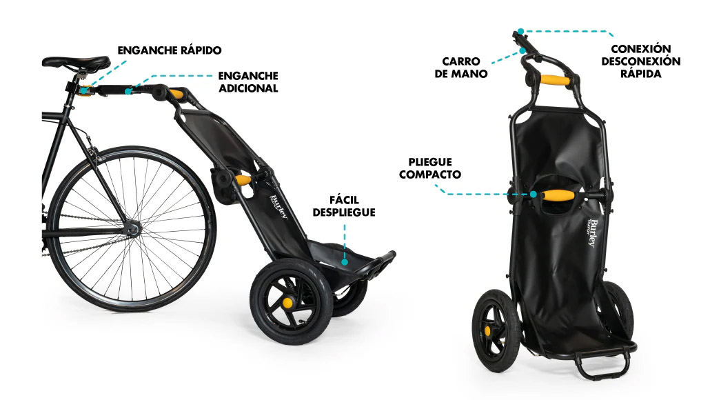 BIC11025002X1.jpg