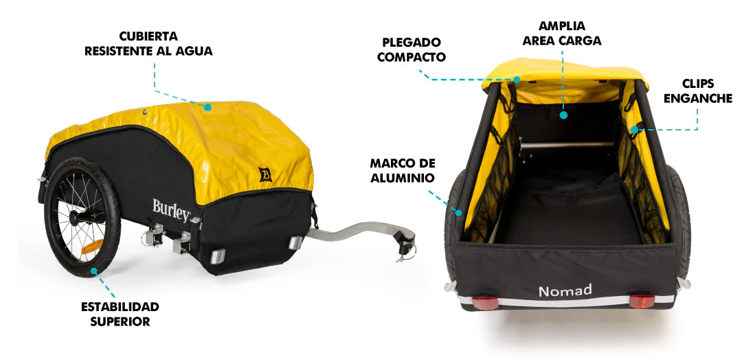 BIC11025012X1.jpg