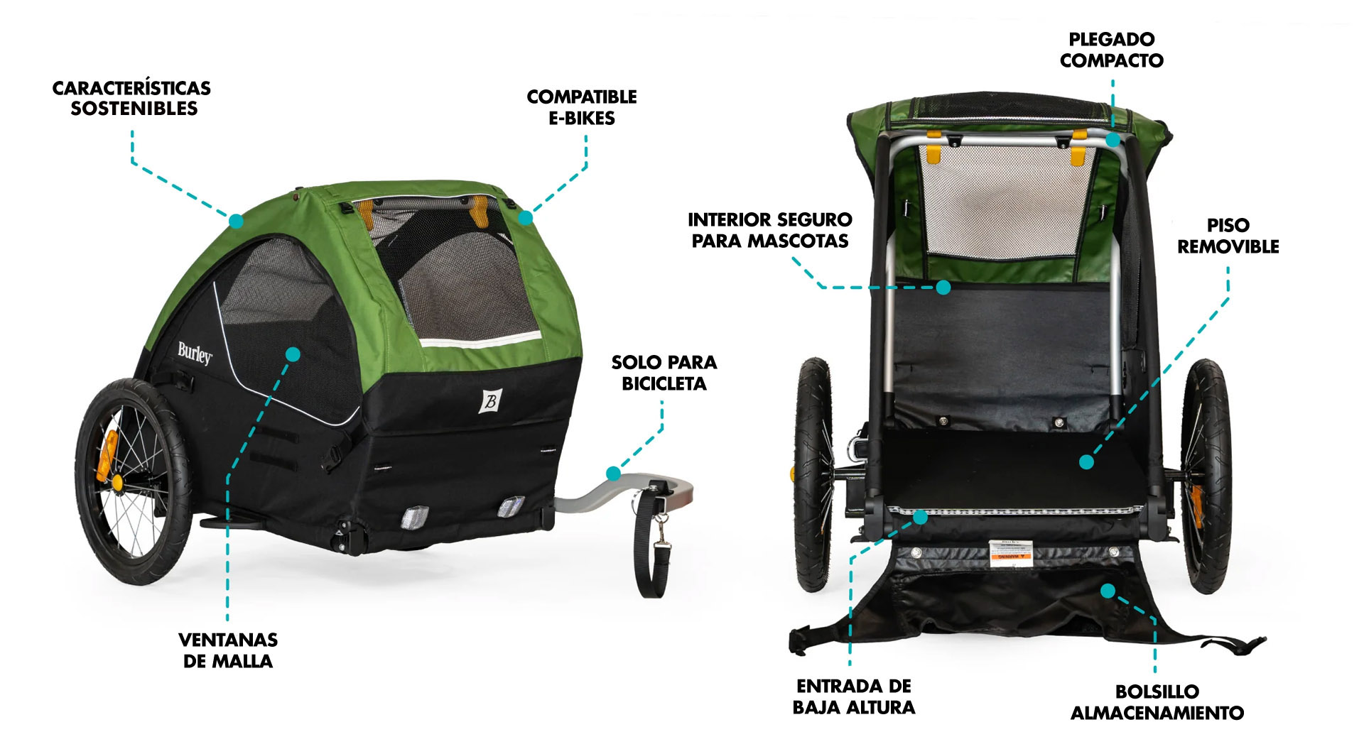 BIC11025014X1.jpg